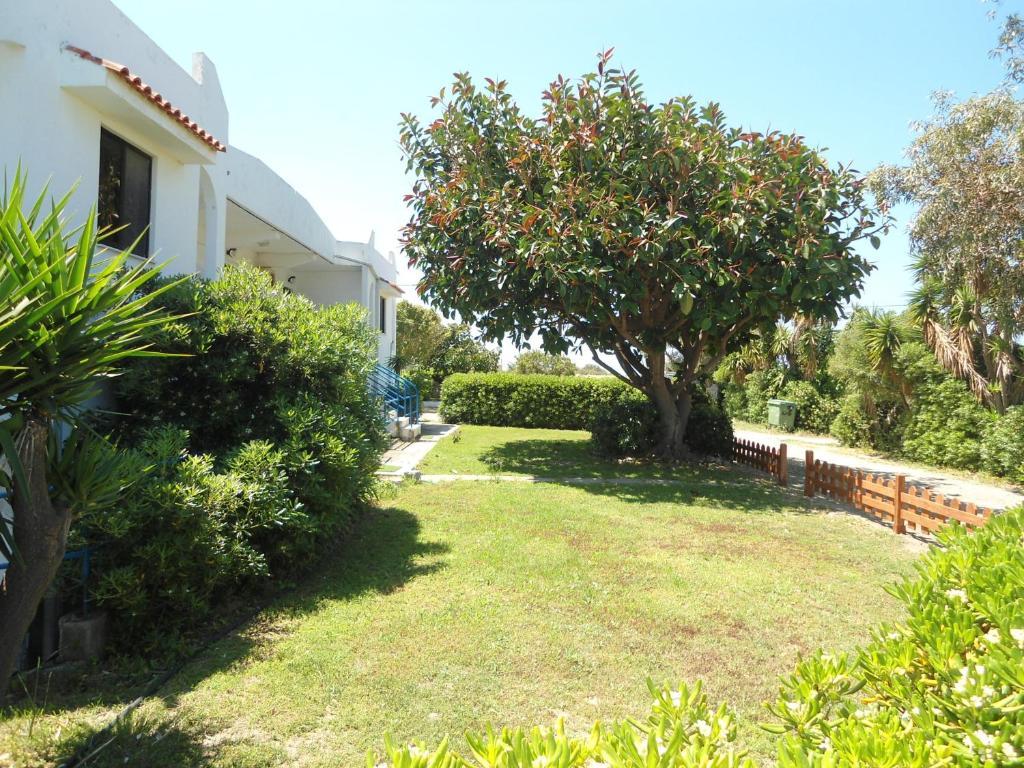 Evi Apartments And Studios Theológos Quarto foto
