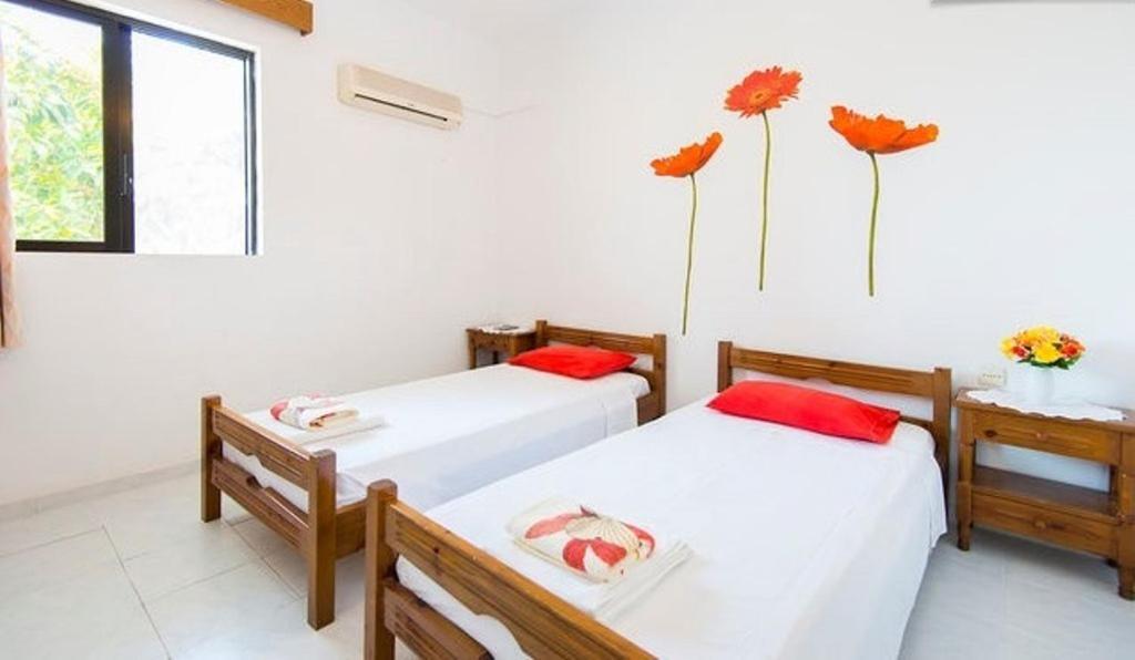 Evi Apartments And Studios Theológos Quarto foto